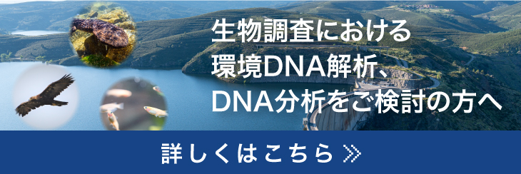 生物調査における環境DNA解析、DNA分析をご検討の方へ 詳しくはこちら